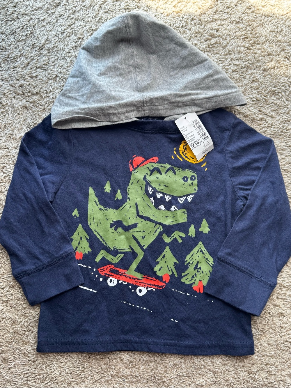 The Children’s Place Dinosaur Skateboard Hoodie 12–18M NWT